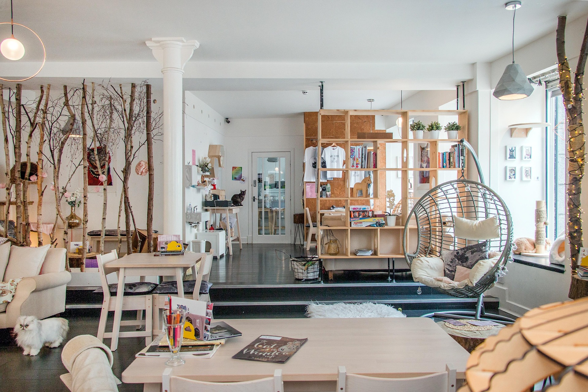 15 Renter-Friendly DIY