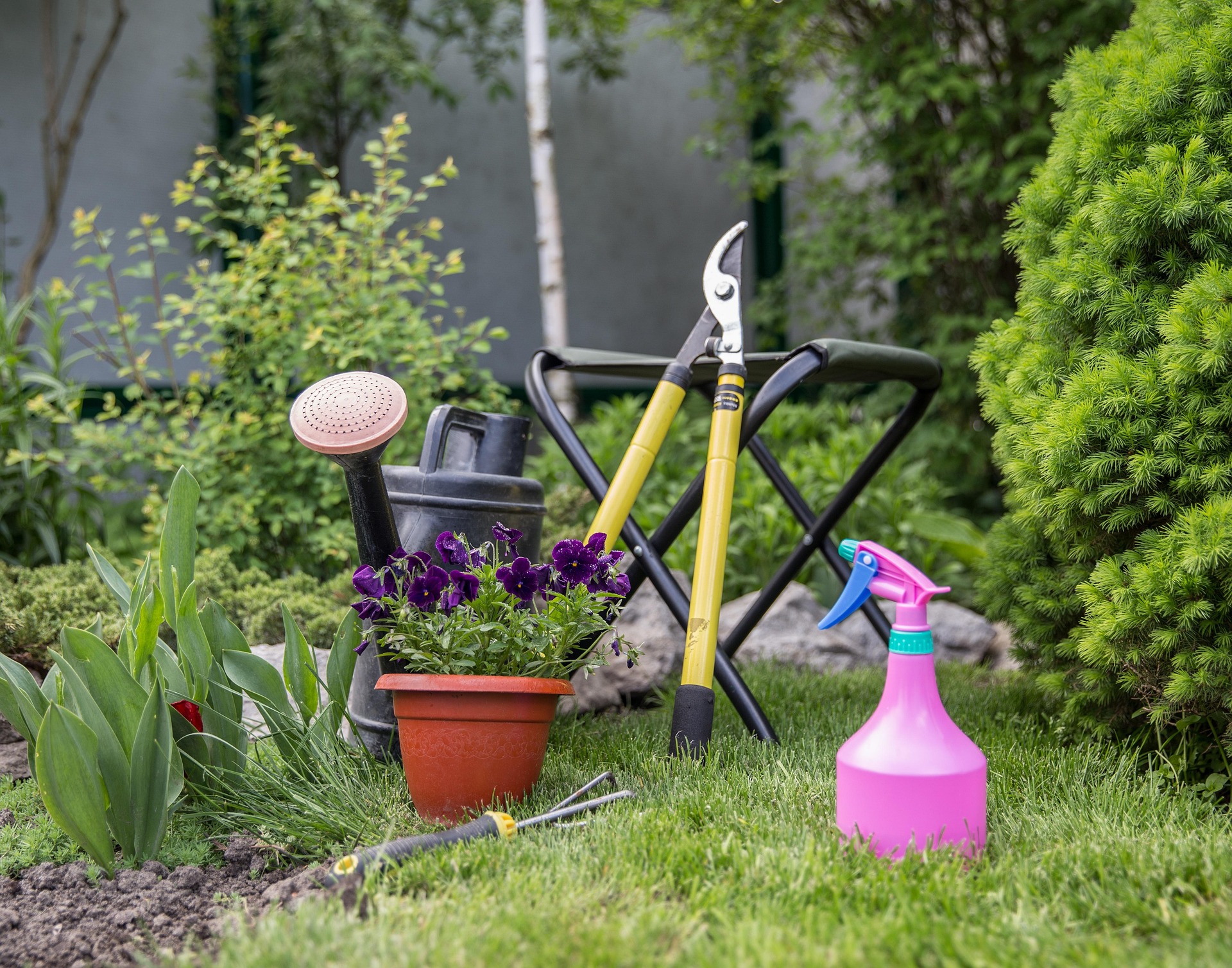 15 Cheap Backyard DIY